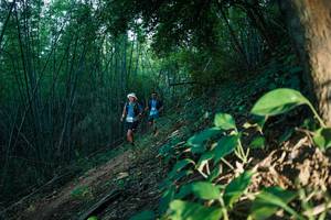 BIB: 
                            <button type="button" onclick="openModal(28124582)" class="btn btn-primary btn-sm float-right btn-popup" data-toggle="modal" data-target=".modal-high-quality">
                        <i class="fas fa-shopping-cart"></i> Add to Cart
                    </button>
                                            <button type="button" onclick="isThisMe(28124582, true)" class="btn btn-success btn-sm float-right btn-popup btn-isme hidden" data-toggle="tooltip" data-placement="bottom" title="นี่คือรูปของคุณใช่ไหม คลิกที่นี่เพื่อเอาเข้าอัลบั้ม">
                        <i class="fas fa-plus"></i> Add to album
                    </button>
                    <button type="button" onclick="isThisMe(28124582, false)" class="btn btn-warning btn-sm float-right btn-popup btn-isnotme hidden">
                        <i class="fas fa-ban"></i> Remove from album
                    </button>